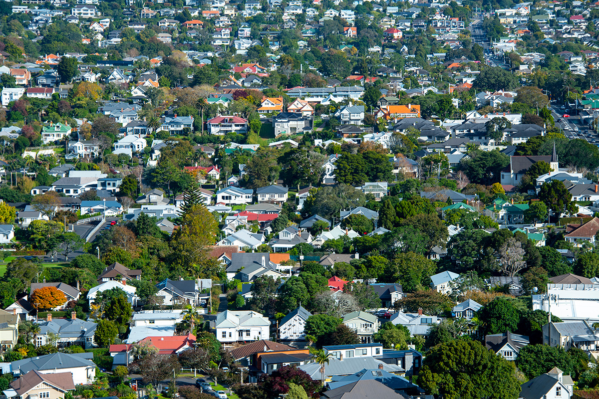 residential area of New Zealand