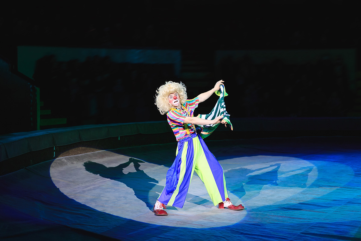 clown performing at circus