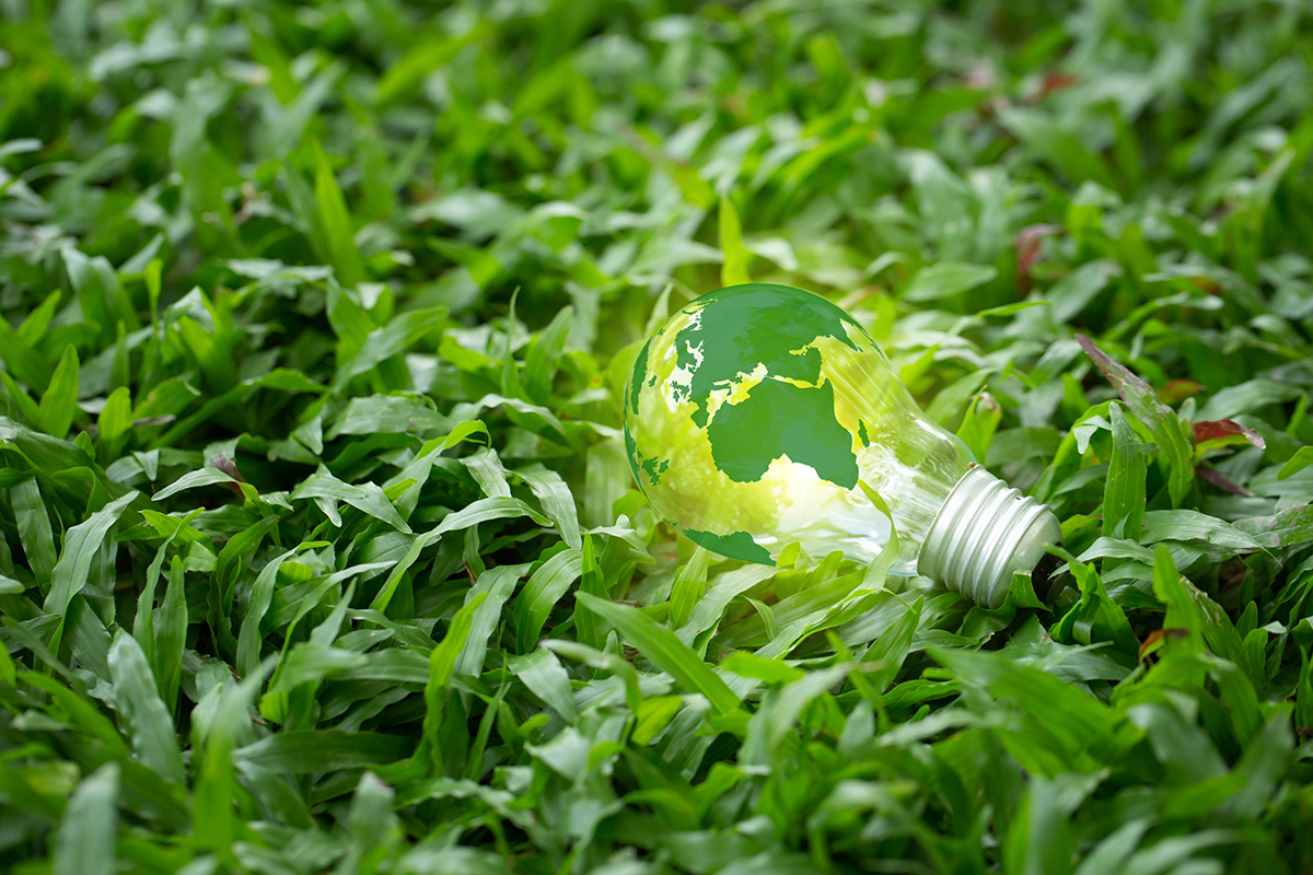 light bulb lying on grass